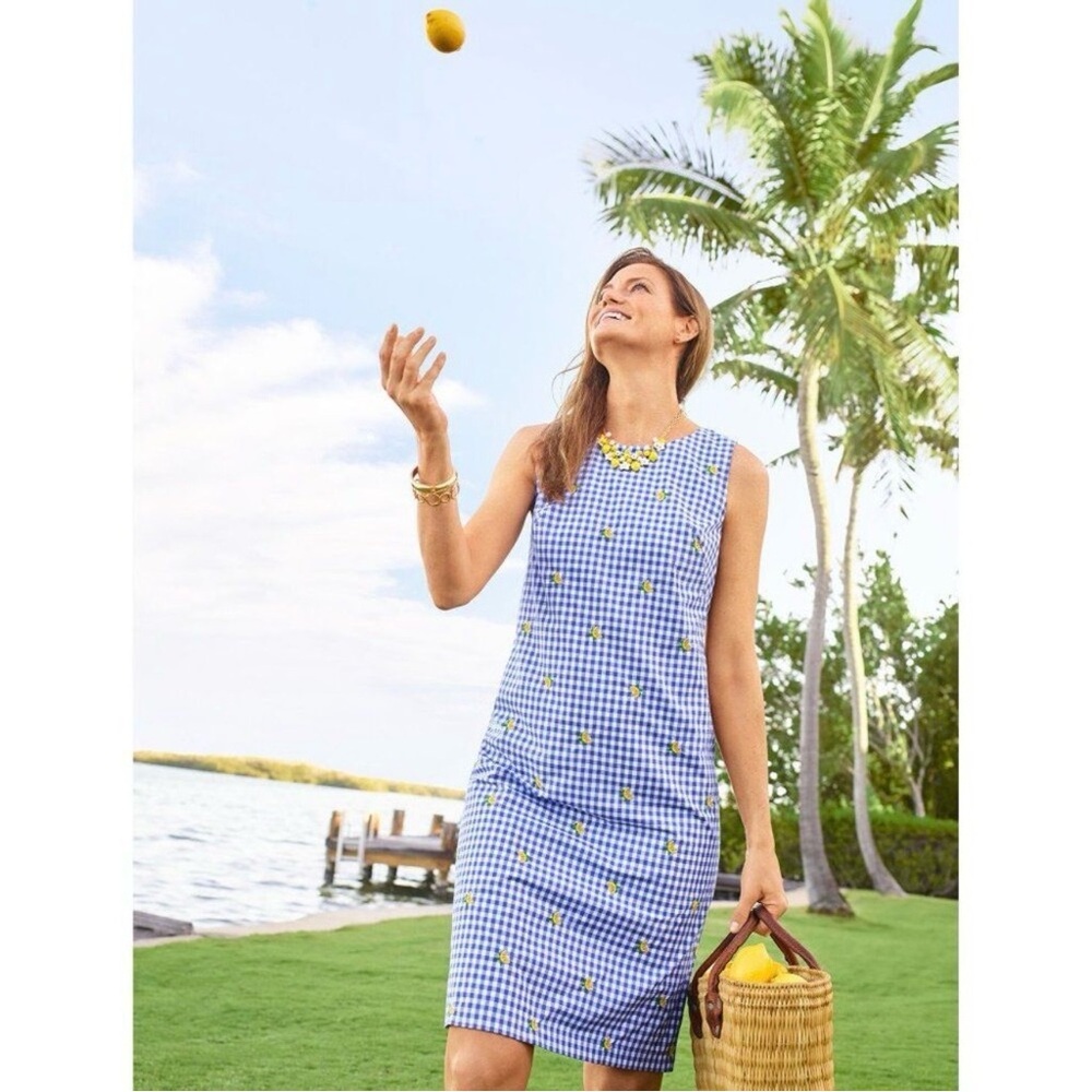 NWT Talbot’s Lemon Embroidered Gingham Shift Dress Blue Easter Spring 2 Petite
